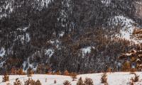 brand_scenery04.jpg